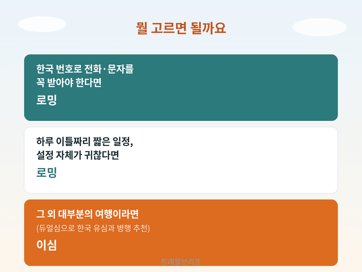 이심과 로밍 중 무엇을 선택할지 조건별 안내